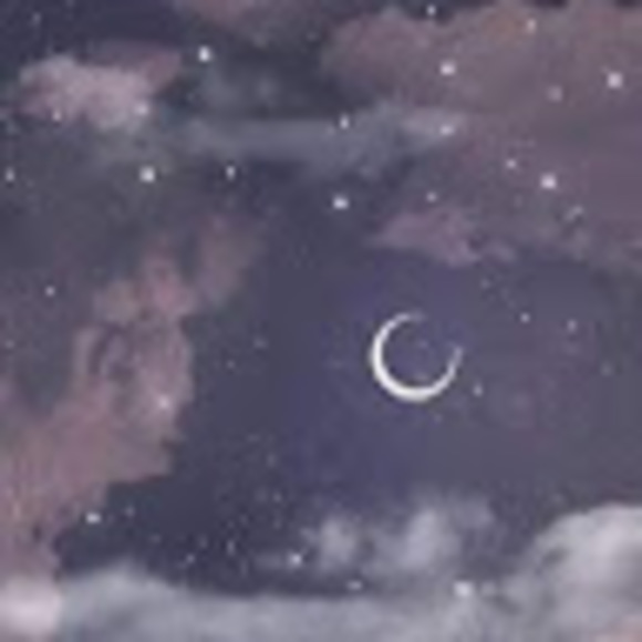 Meet your Posher, Ali - Picture 1 of 1